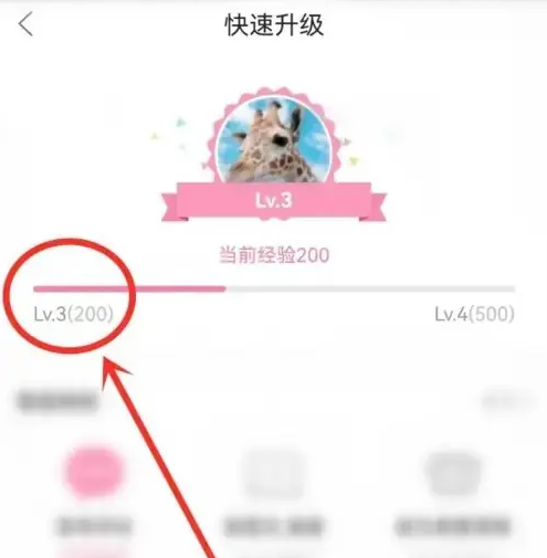 漫播怎么升级守护团等级 漫播app等级提升方法